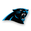 Carolina Panthers Customized Jerseys Online