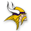 Minnesota Vikings Youth Jerseys Online